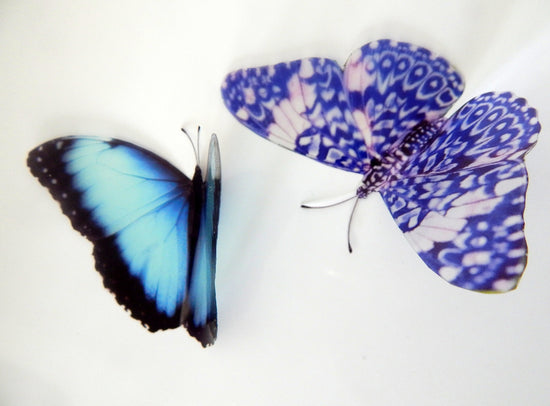 Escape to the Chateau butterfly  stickers