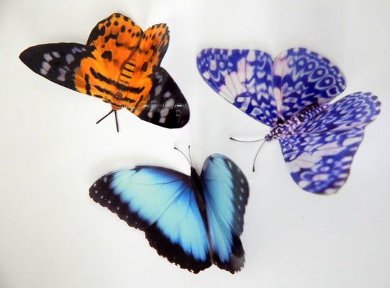 Escape to the Chateau butterflies , country collection