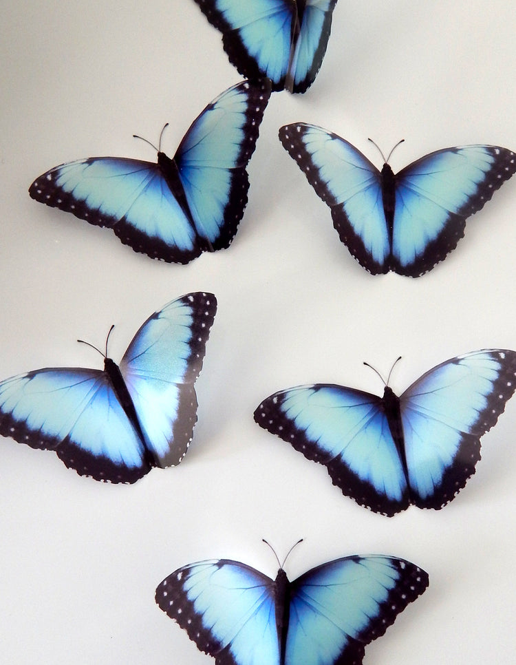 Natural blue 3d butterfly stickers (Mangal) great for around the house, unique decor for any room