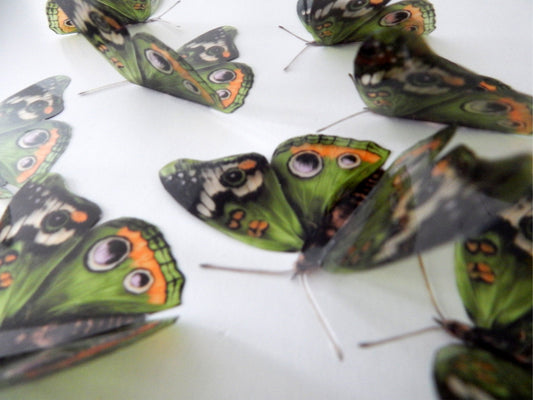 green buckeye butterfly by flutterframes