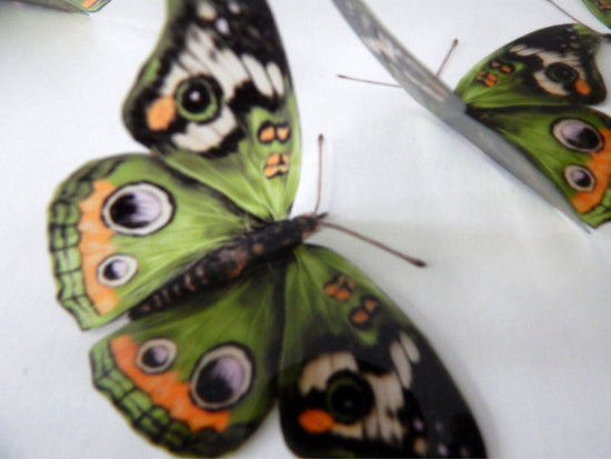 Natural Green butterfly stickers