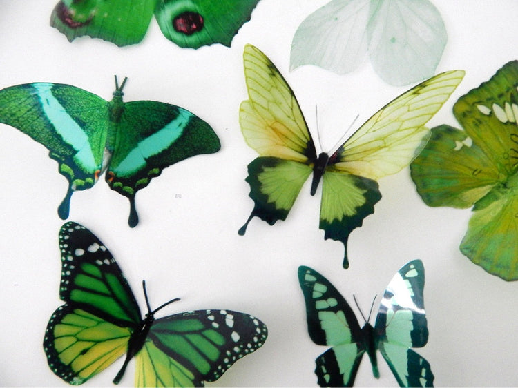 Natural green butterflies