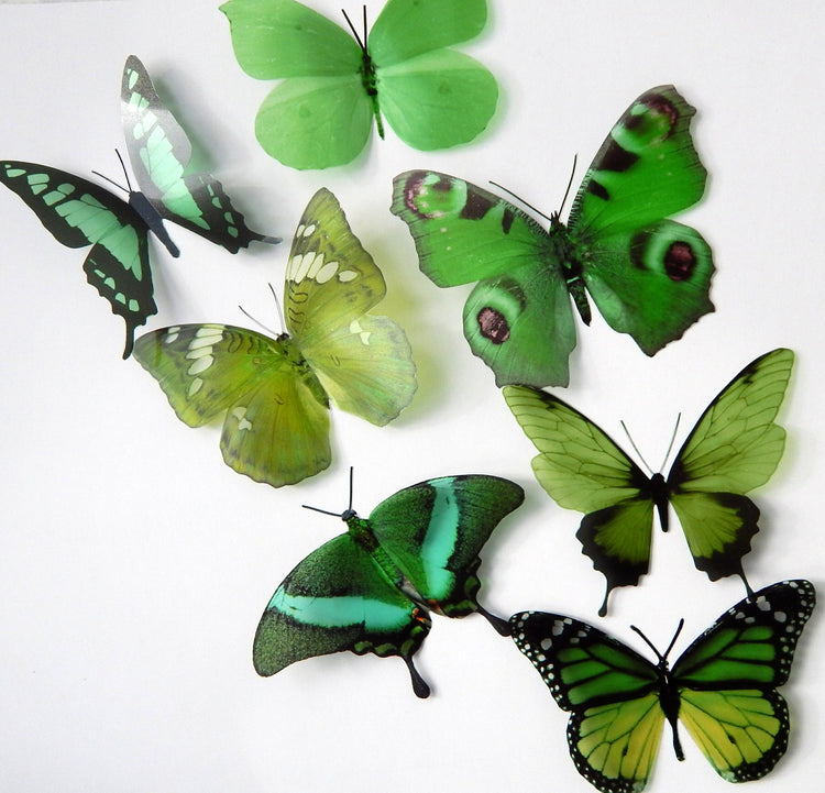 3d butterflies the Green collection, butterfly decor for the wall,conservatory, home,bedroom, lounge,window decorations, vase decor stickers