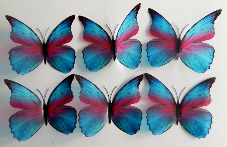pink and blue butterflies by flutterframes