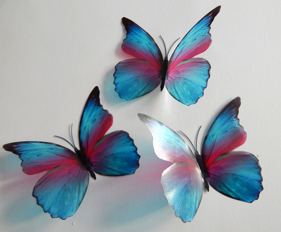 natural butterflies blue and pink