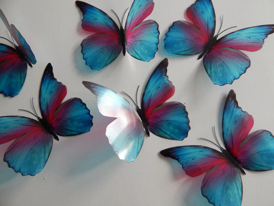3d butterflies by flutterframes