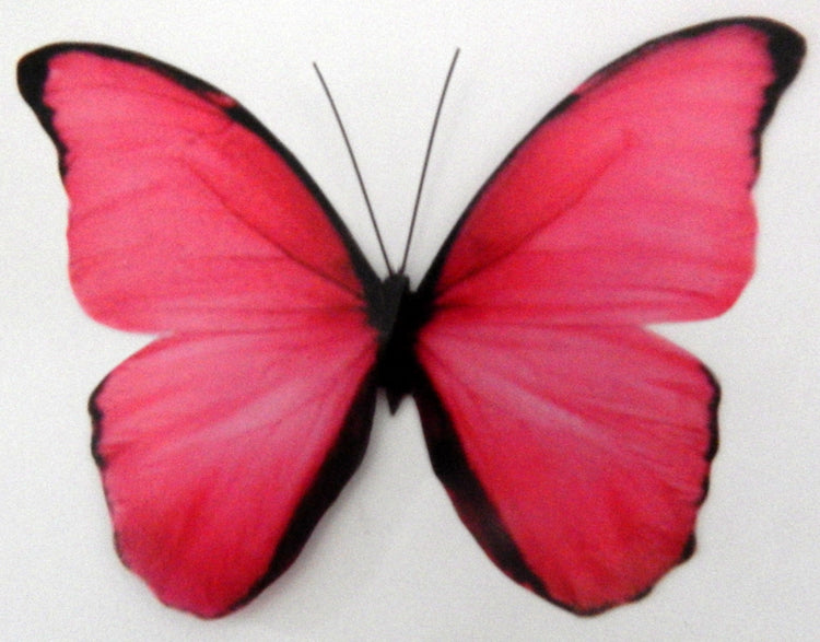 Collection of pink butterflies, 3d butterflies, wall decor, bespoke butterfly wall stickers ,natural critters, conservatory,lounge