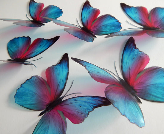 pink and blue butterflies by flutterframes