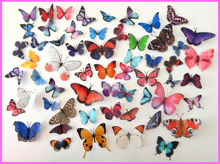 Butterfly Magnet Sets, Butterfly Magnets, Fridge Magnets,Office Magnets,natural butterflies, woodland, butterfly fridge magnets,unusual