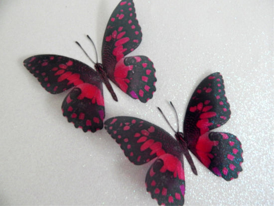 Mariposa 3d natural Butterflies