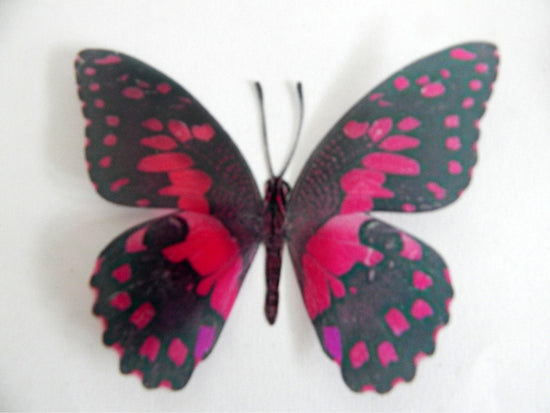 MARIPOSA PINK HAND CRAFTED BUTTERFLIES