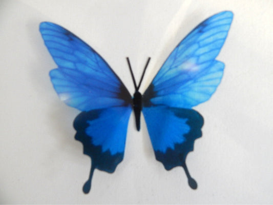 6 3d Blue luxury butterflies