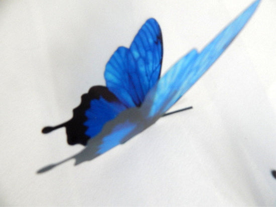 Blue Natural Butterflies From Our Blue Collection. 3d Butterfly