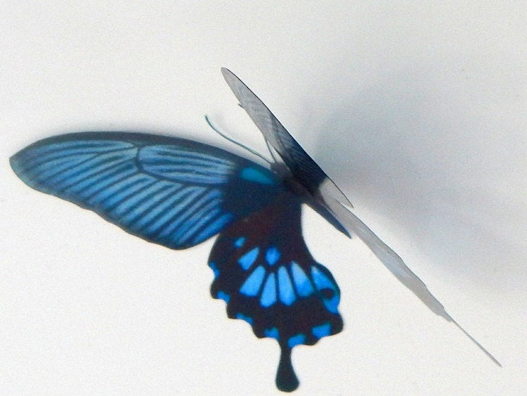 3D Dusky Blue butterflies,Removable Butterflies, home decorations, Wall Art 3D Wall Decal, realistic butterflies, wedding decorations, vase
