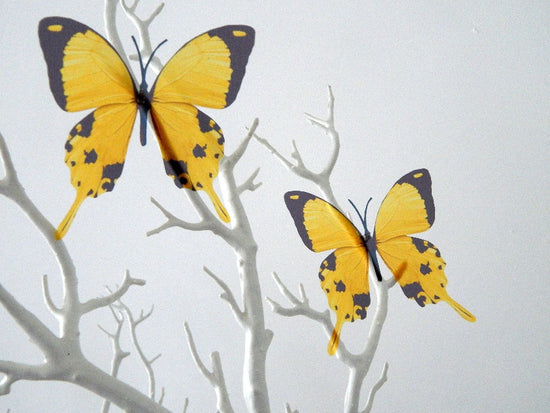 pretty yellow  butterfly sticker
