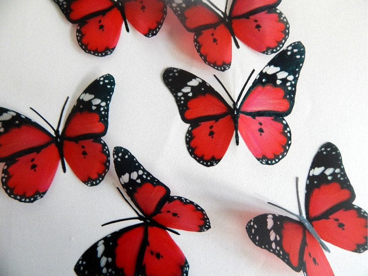 Scarlet red butterfly by flutterframes