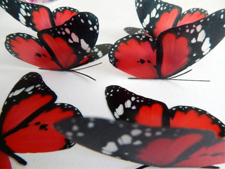Scarlet red butterfly by flutterframes