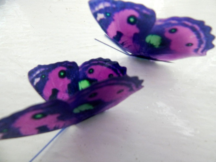 6 purple, lime green spotted 3D butterflies flying wall