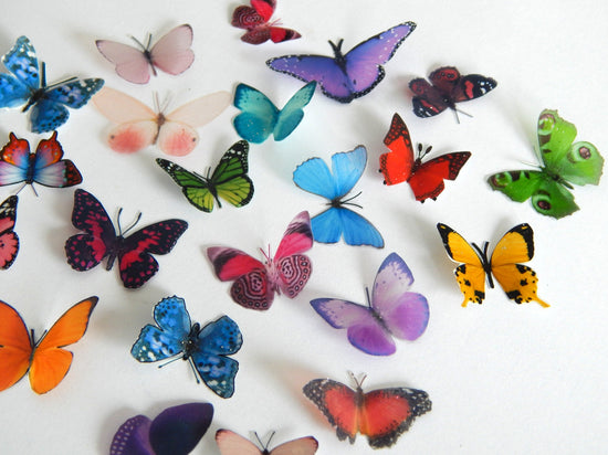 miniature butterflies for crafting