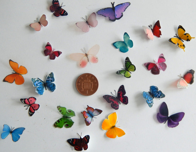 miniature butterflies for crafts by flutterframes