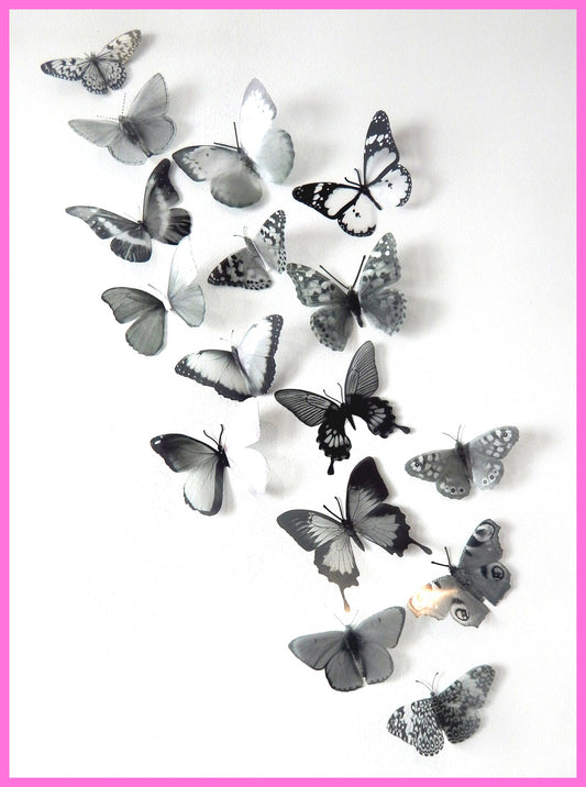 Monochrome butterflies