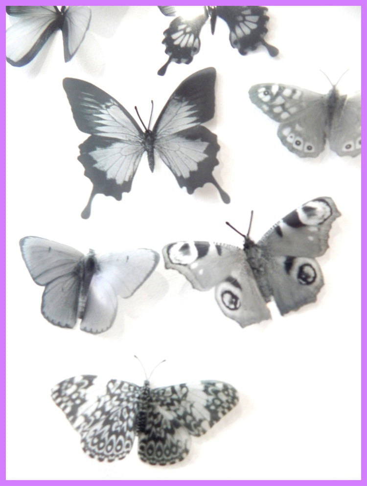 Monochrome 3d butterflies
