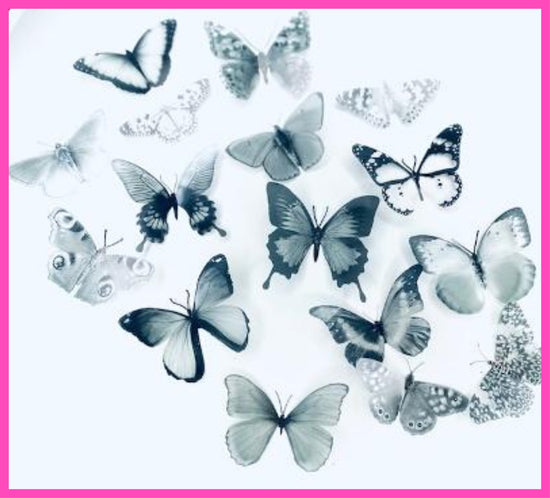 Monochrome natural butterflies