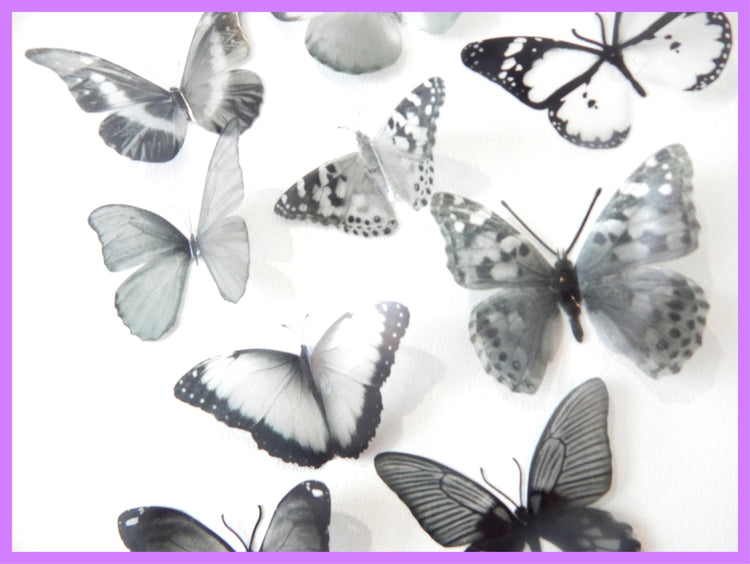 Set of 16 monochrome 3D butterflies. Black and white butterflies