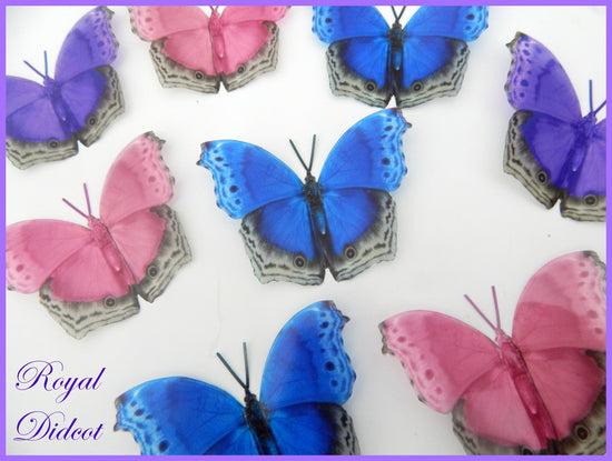multi colours butterflies for wedding