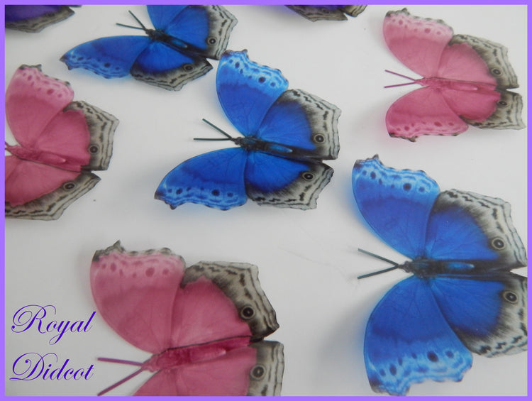pretty butterfly bedding, duvet cover matching