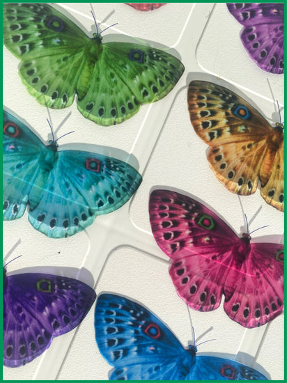 set of 8 multi-colored butterfly sticker flutterframes
