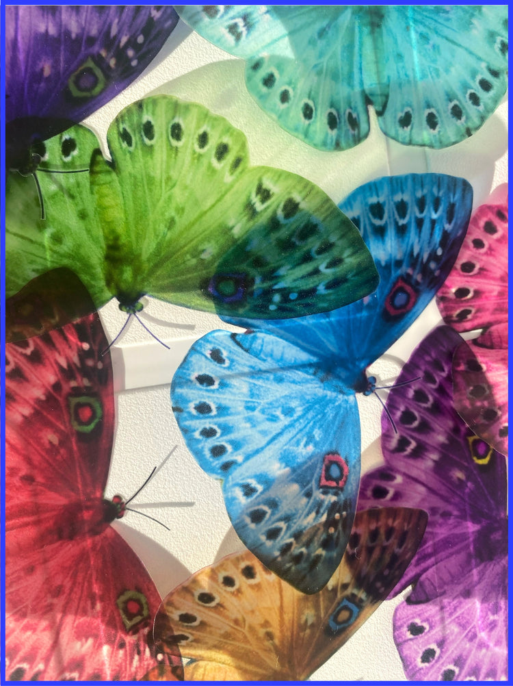 natural multi-coloured butterfly stickers