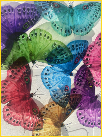 multi-coloured butterflies