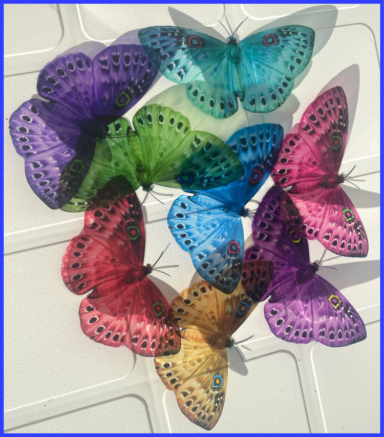 LBGT Rainbow butterfly wall sticker