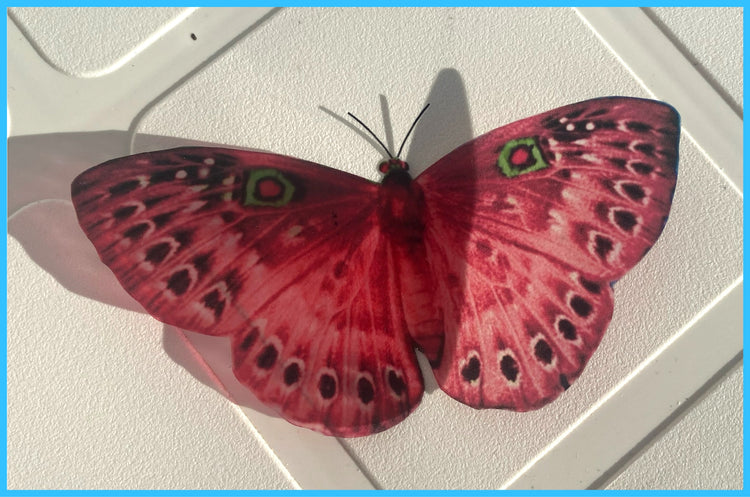 pretty red butterfly sticker flutterframes