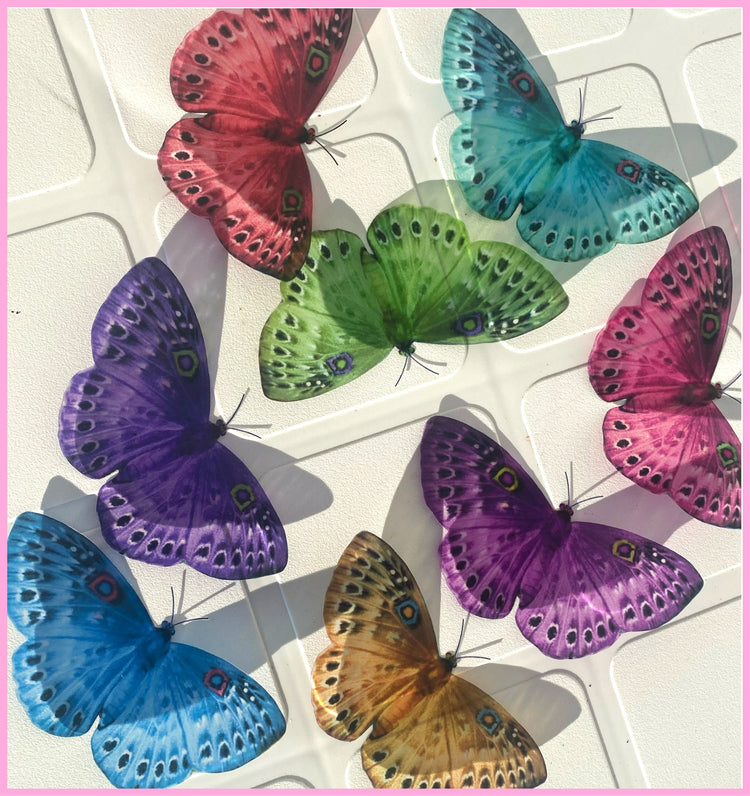 multi-colored butterfly sticker flutterframes