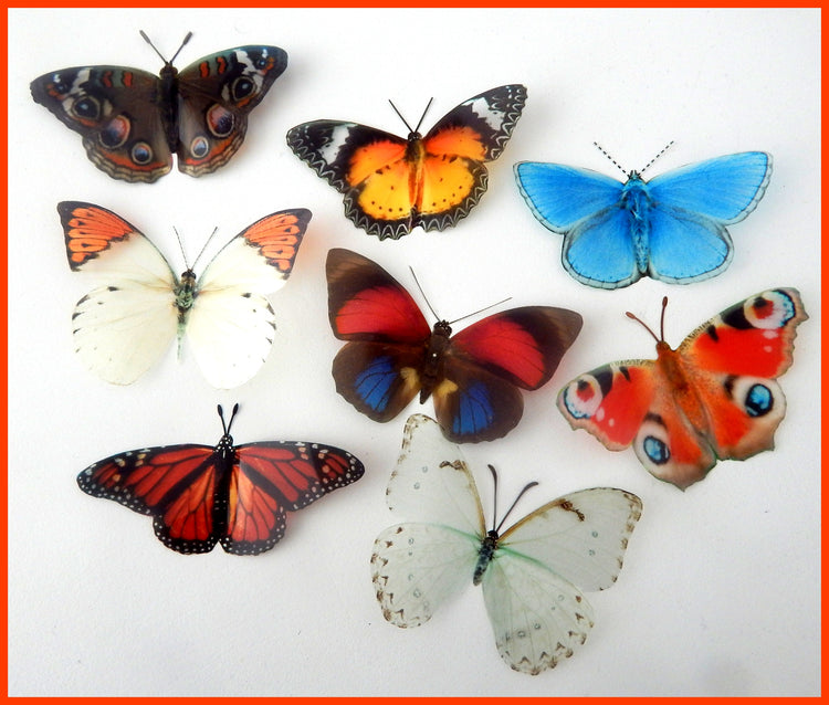 British reproduction butterflies