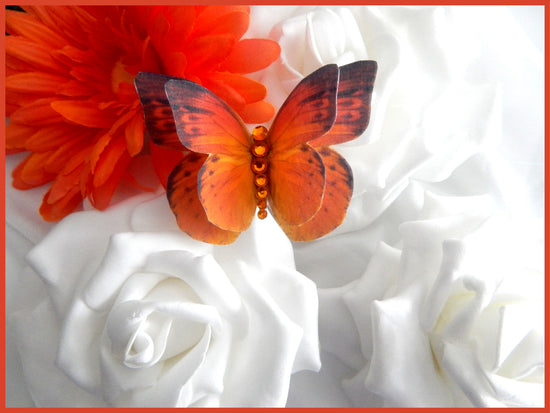 orange wedding theme silk butterfly