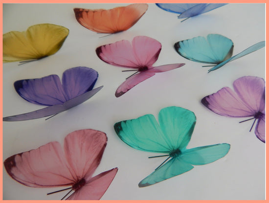 pastel butterflies by flutterframes