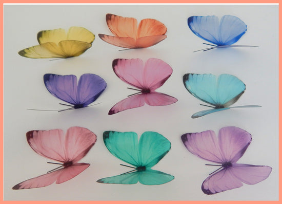 wall sticker butterflies
