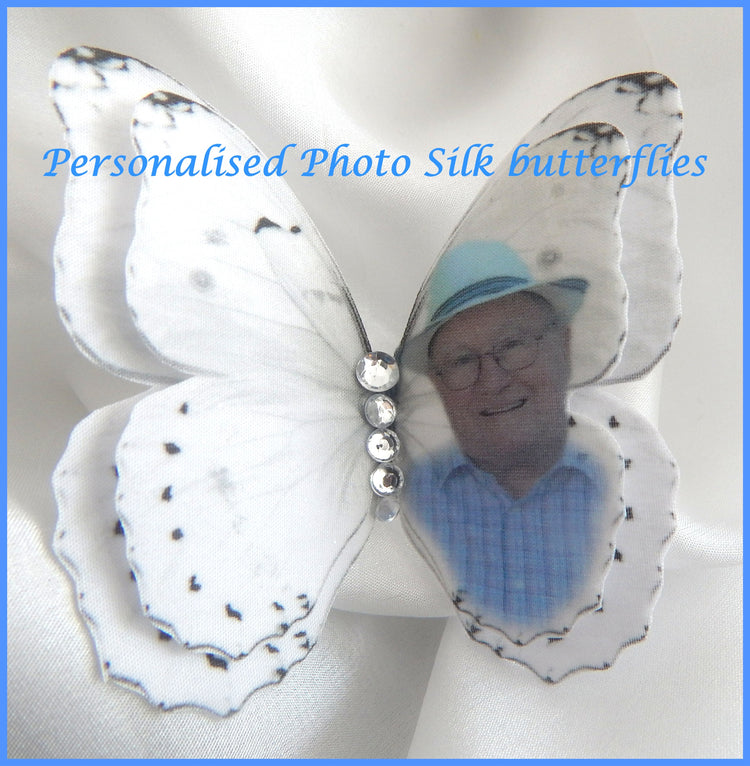 Personalised photo Butterflies,hair accessory, and made butterfly hair clip,  butterflies