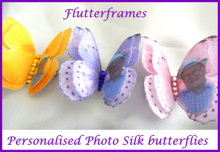 photo butterflies