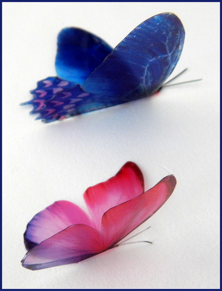 pink and blue butterfly stickers