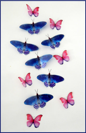 pretty pink and blue butterfly stickers
