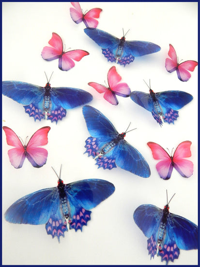 Very pretty pink and blue butterflies