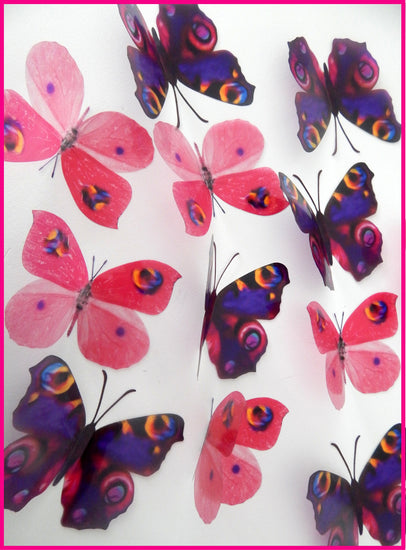 Purple and pink butterflies