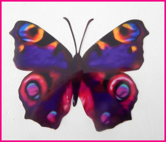 Unique Purple and pink butterflies