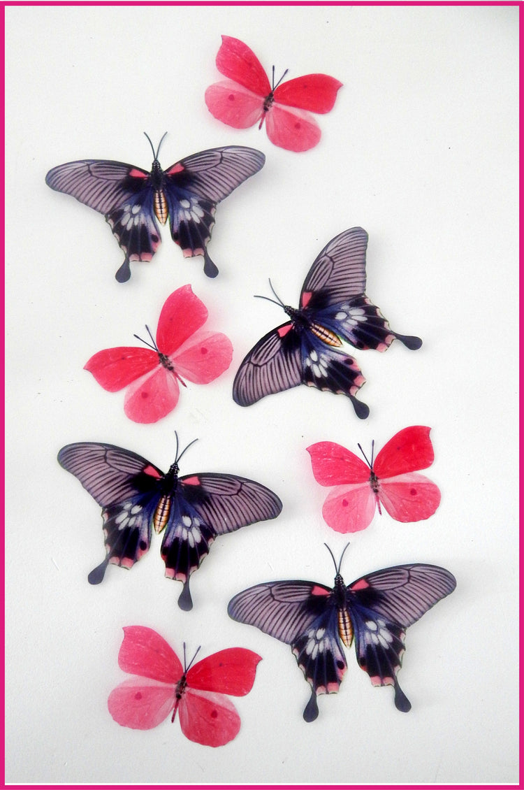 pink and purple natural butterflies
