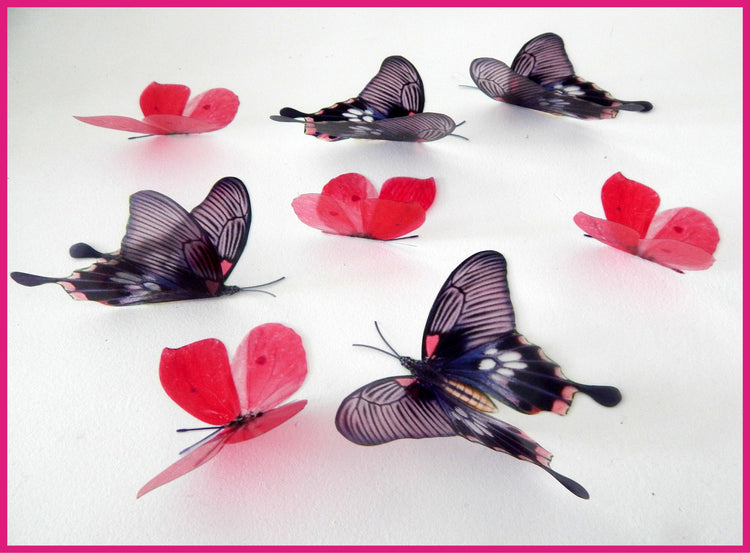pink and purple natural butterflies set