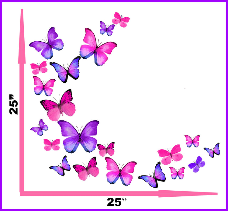 set of pink and purple butterflies display
